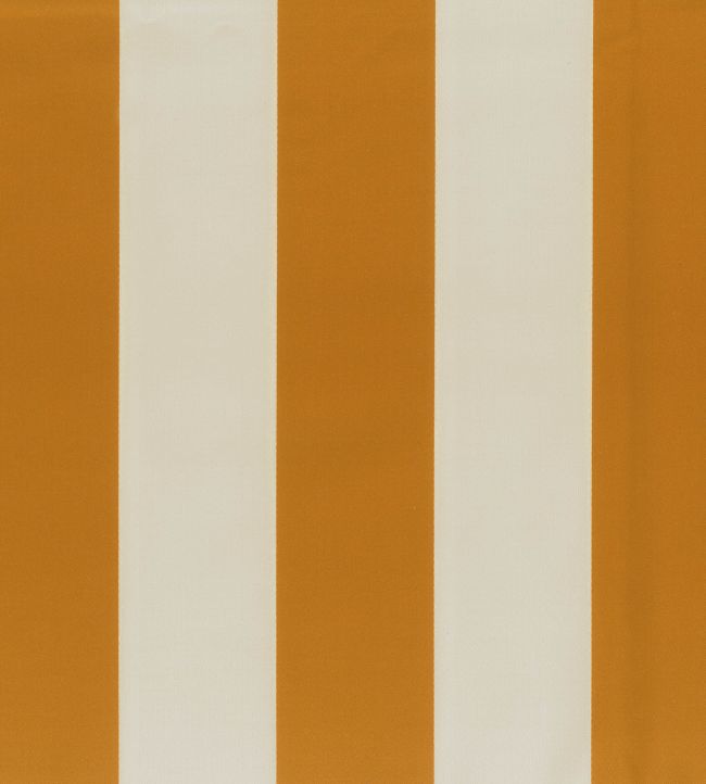 Pisa Stretto Fabric by Osborne & Little Marmalade