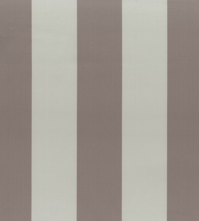 Pisa Stretto Fabric by Osborne & Little Mink