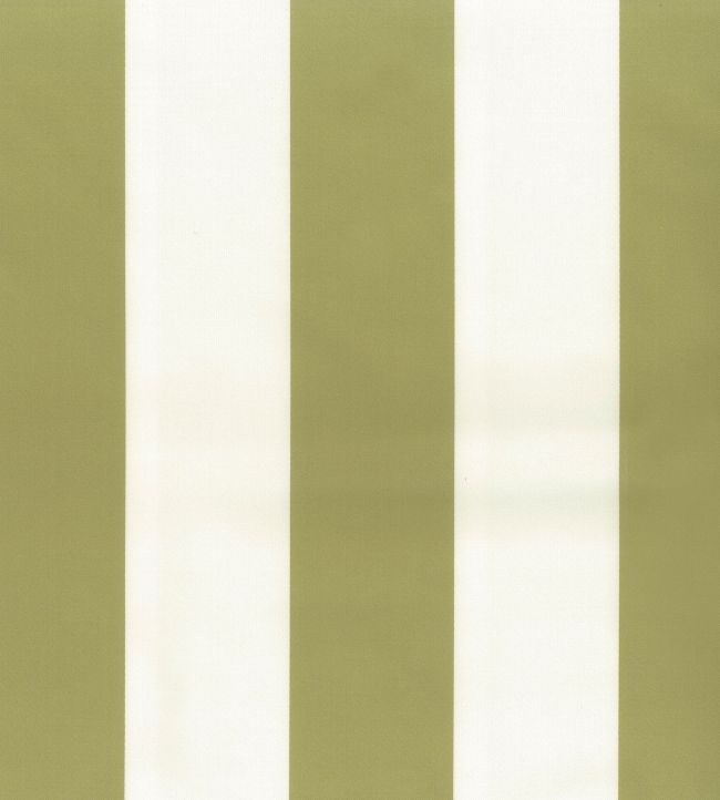 Pisa Stretto Fabric by Osborne & Little Moss