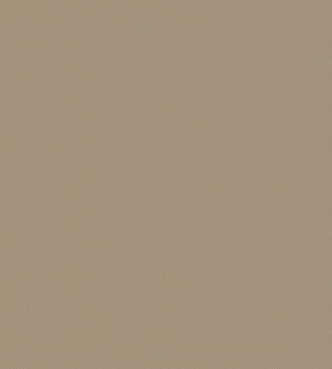 Playa Fabric by Warwick Camel