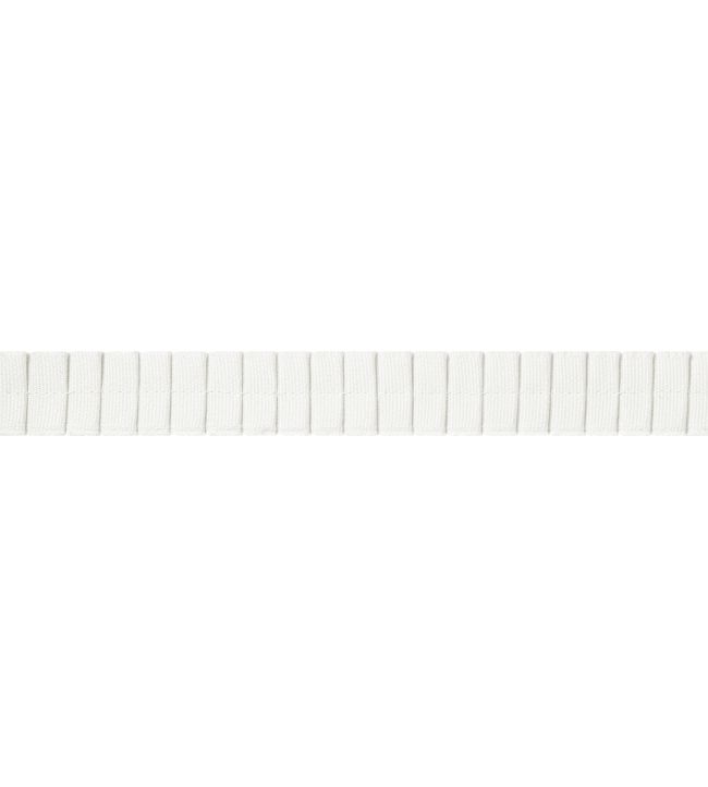 Pleated Tape Trimming by Thibaut Snow White