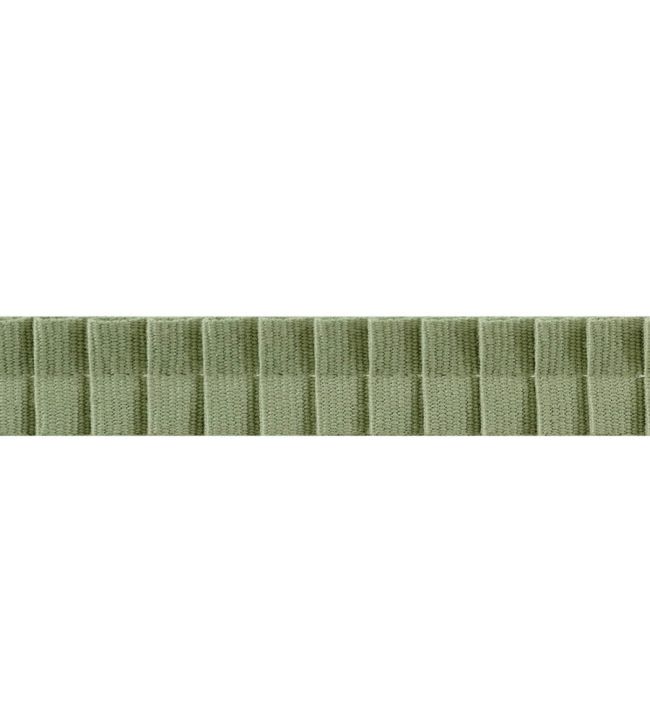 Pleated Tape Trimming by Thibaut Willow