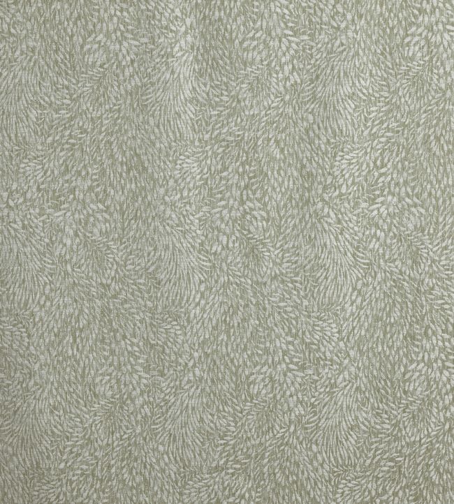 Pluma Fabric by Prestigious Textiles Grassland