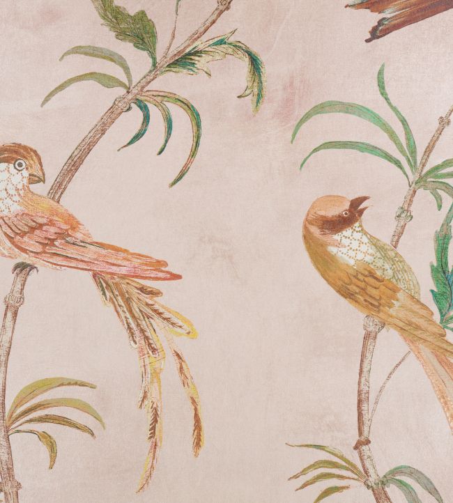 Pluma Wallpaper by Romo Blush