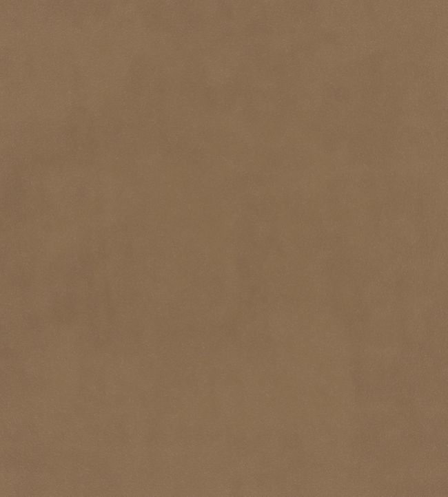 Plush Velvet Fabric by Warwick Almond