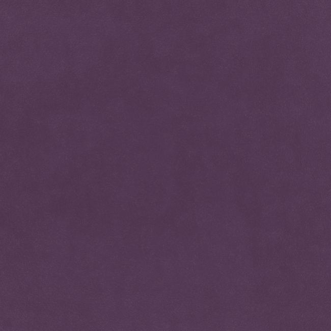 Plush Velvet FR Fabric by Warwick Amethyst