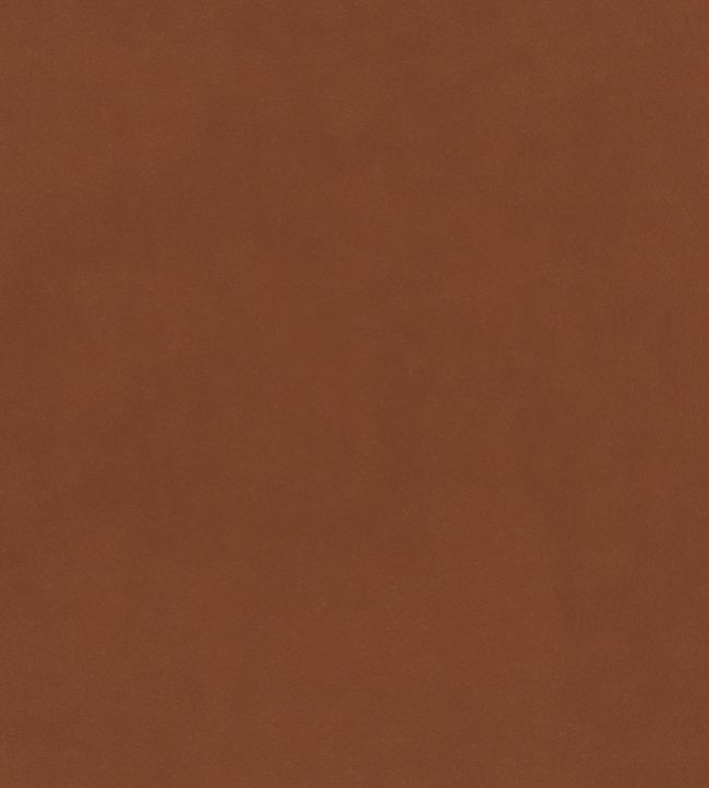 Plush Velvet FR Fabric by Warwick Apricot