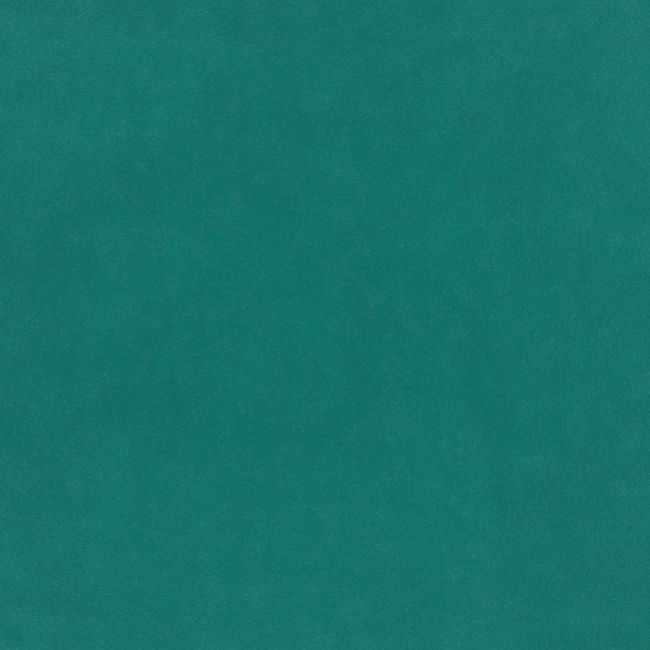 Plush Velvet FR Fabric by Warwick Atoll