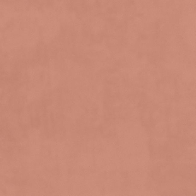 Plush Velvet Fabric by Warwick Blush