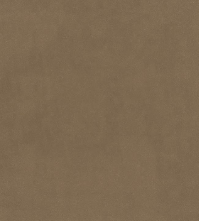 Plush Velvet FR Fabric by Warwick Cardamom