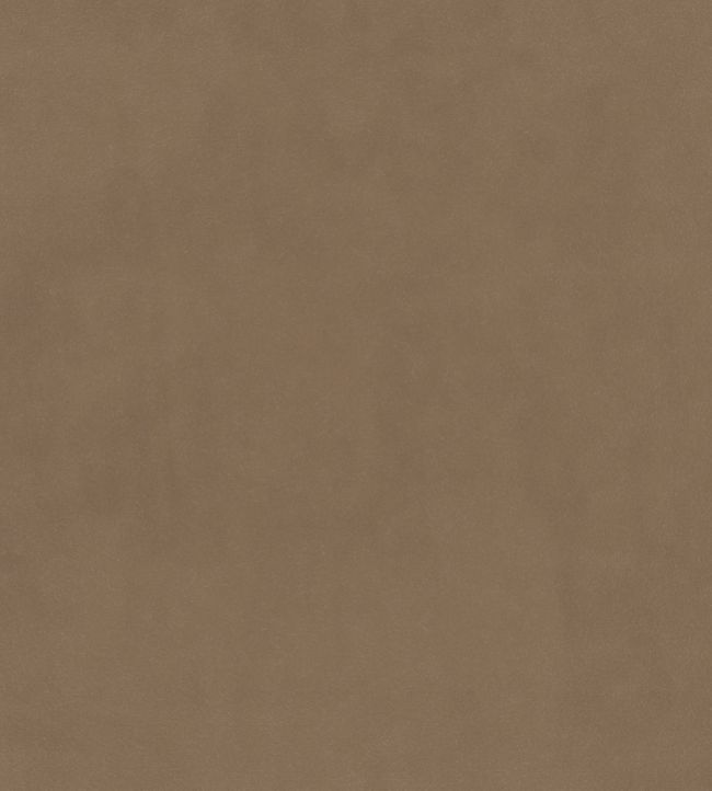 Plush Velvet FR Fabric by Warwick Caribou