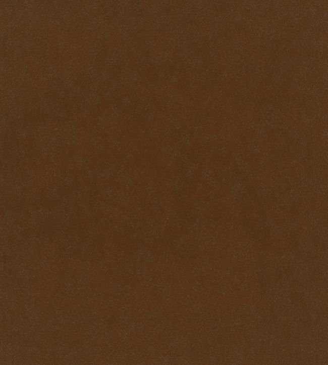 Plush Velvet Fabric by Warwick Cayenne
