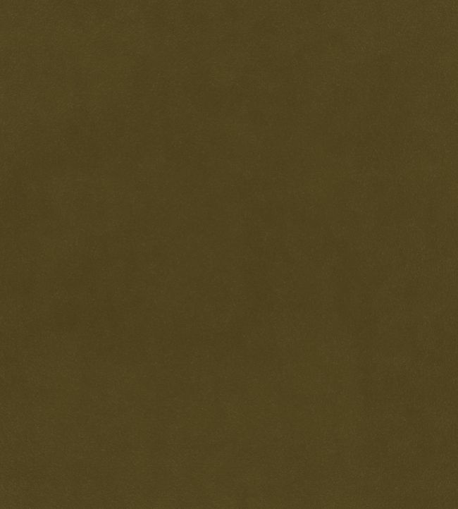 Plush Velvet Fabric by Warwick Cedar