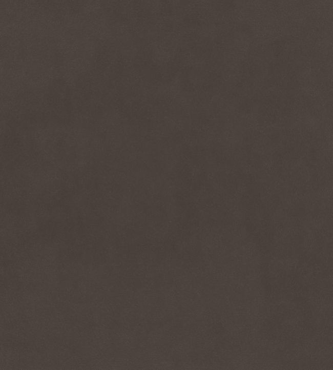 Plush Velvet FR Fabric by Warwick Cinder