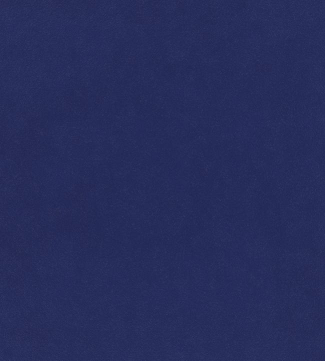 Plush Velvet FR Fabric by Warwick Cobalt