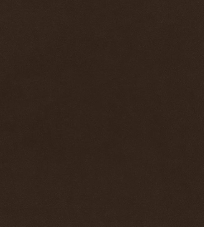 Plush Velvet FR Fabric by Warwick Cocoa