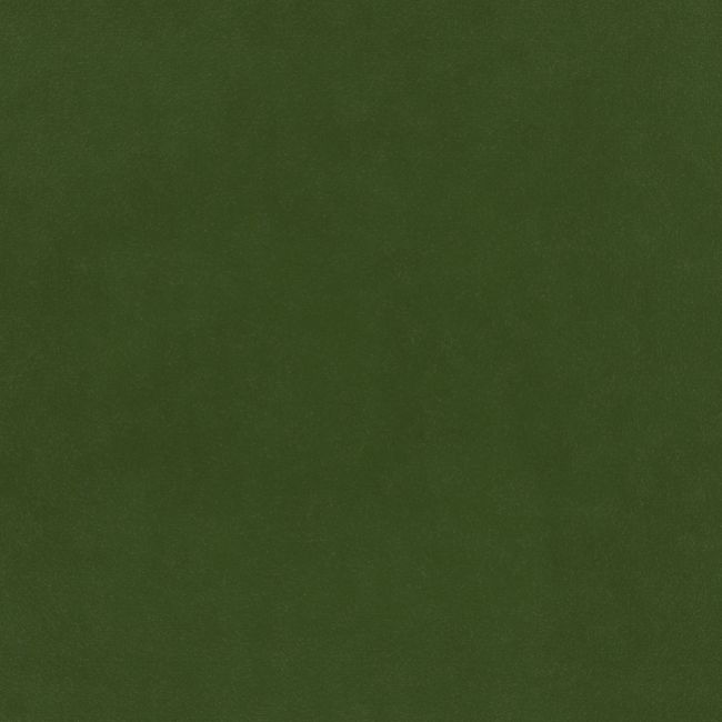 Plush Velvet Fabric by Warwick Conifer