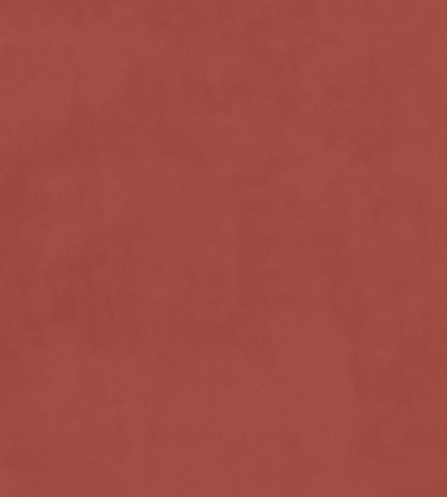 Plush Velvet FR Fabric by Warwick Coral