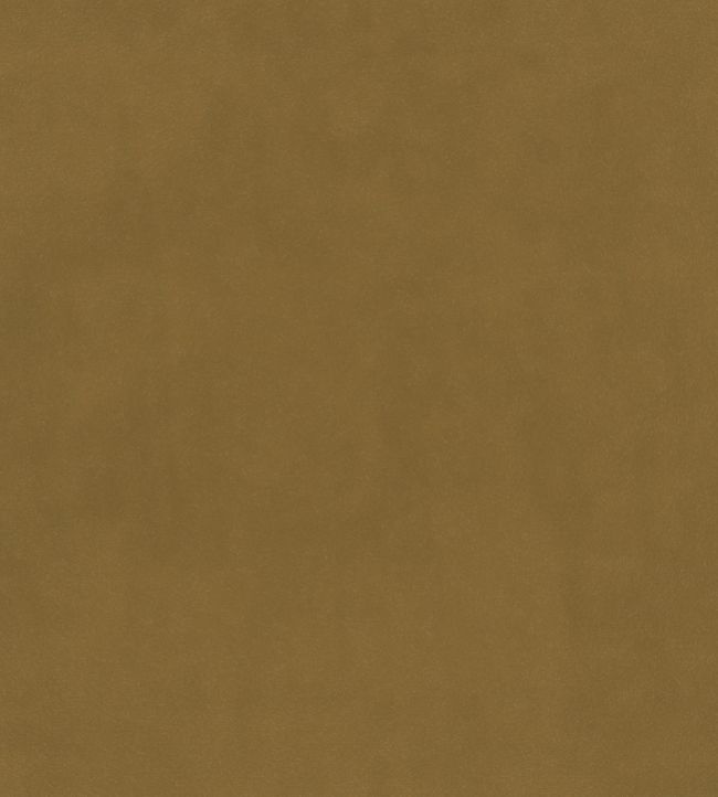 Plush Velvet Fabric by Warwick Dijon