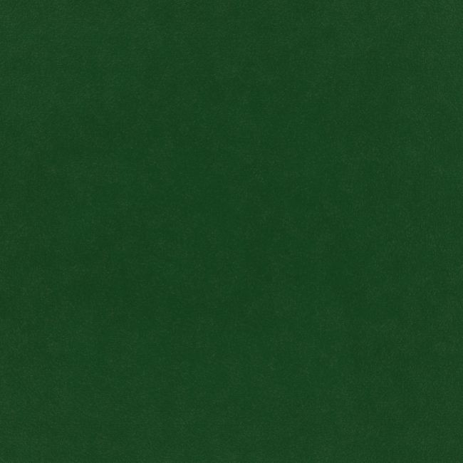 Plush Velvet Fabric by Warwick Evergreen