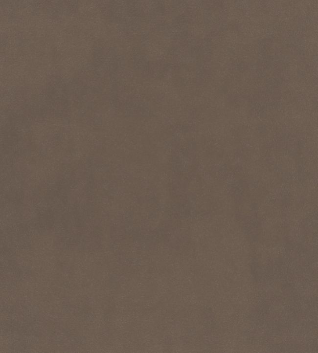 Plush Velvet Fabric by Warwick Fallow
