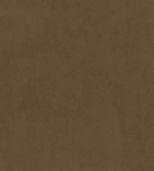 Plush Velvet Fabric by Warwick Fennel