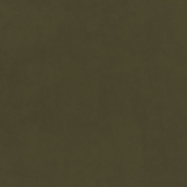 Plush Velvet Fabric by Warwick Fern