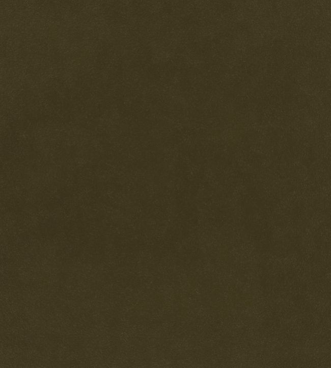 Plush Velvet FR Fabric by Warwick Forage