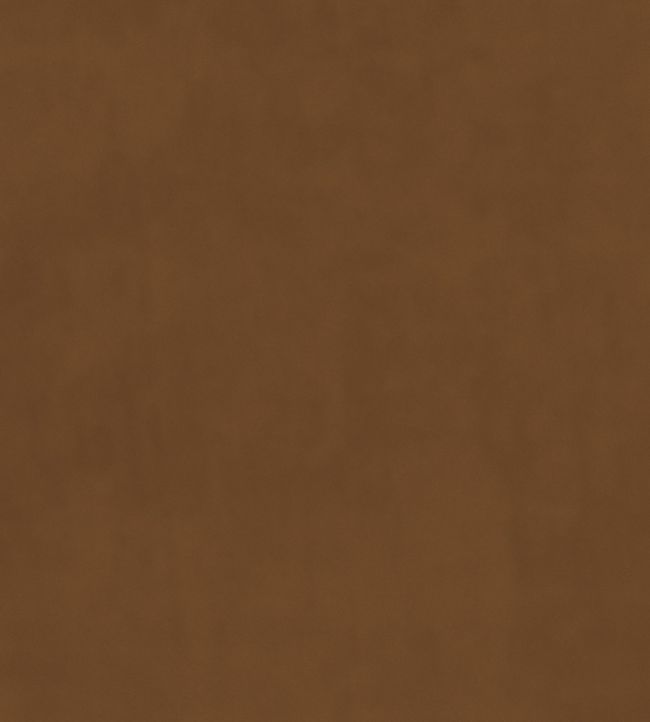 Plush Velvet Fabric by Warwick Gingernut