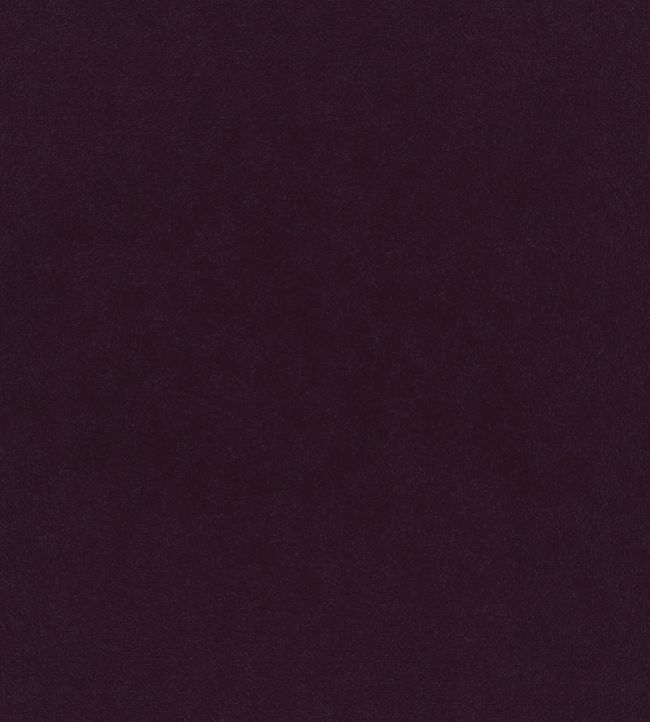 Plush Velvet FR Fabric by Warwick Liqueur