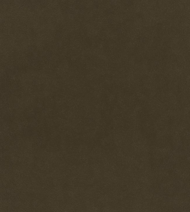 Plush Velvet FR Fabric by Warwick Poplar