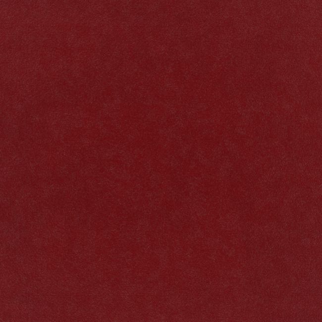 Plush Velvet Fabric by Warwick Rouge