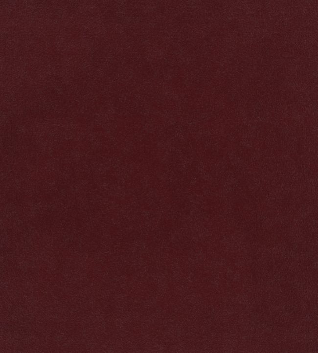 Plush Velvet Fabric by Warwick Ruby