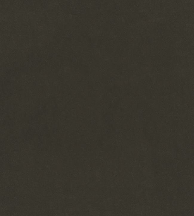 Plush Velvet FR Fabric by Warwick Spruce