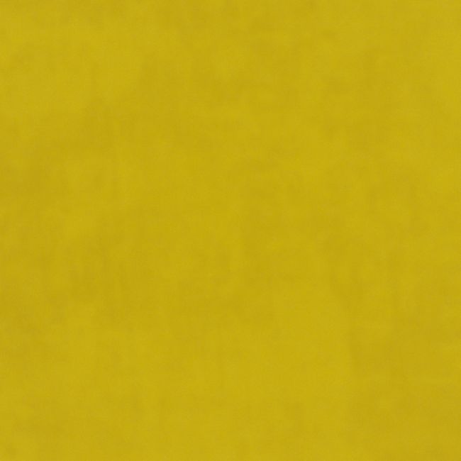 Plush Velvet Fabric by Warwick Zest