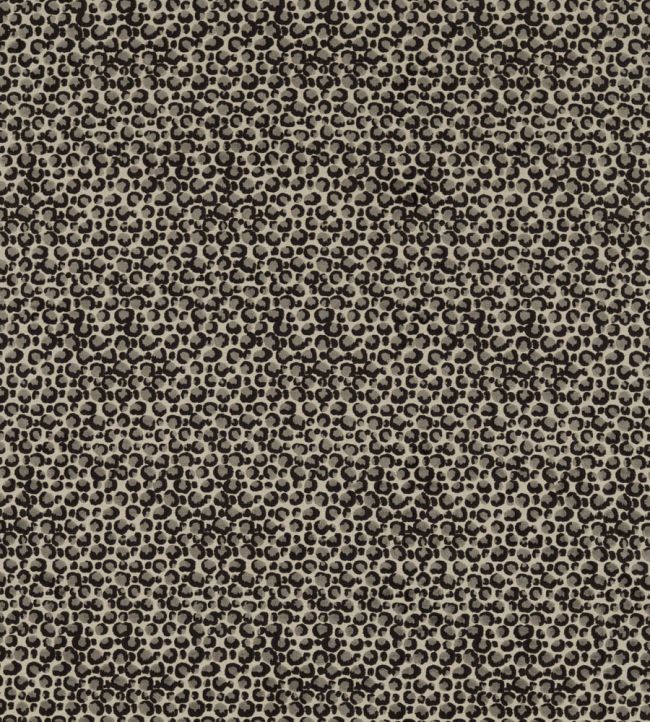 Pokot Fabric by Clarke & Clarke Noir