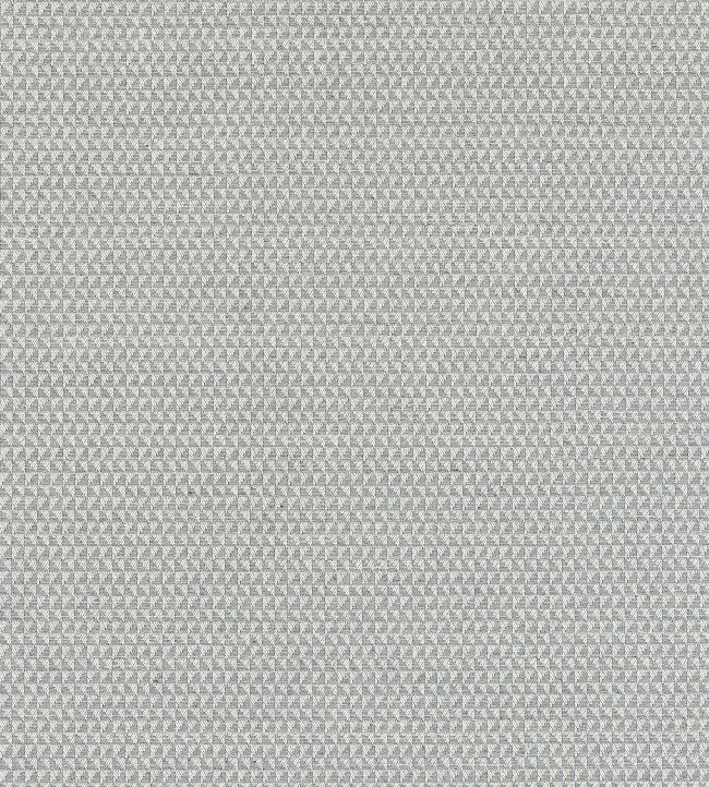 Pollux Fabric by Thibaut Sterling