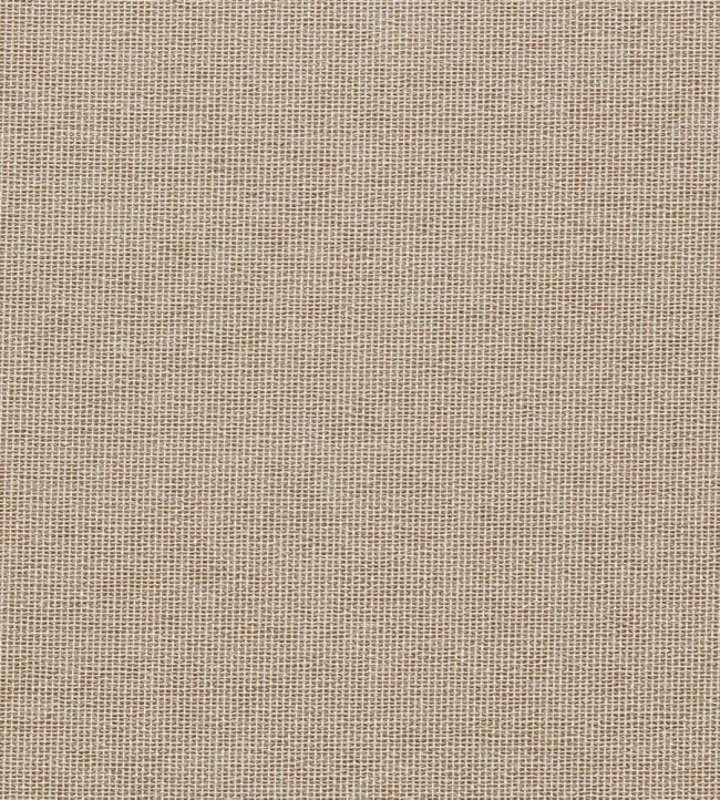 Pontus Fabric by Clarke & Clarke Sahara