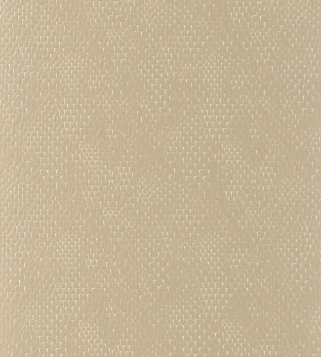 Port Jackson Fabric by Camengo Beige