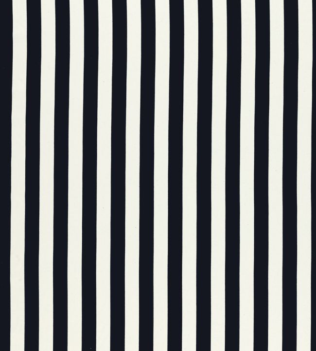 Portland Fabric by Clarke & Clarke Ebony