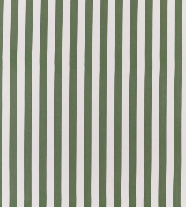 Portland Fabric by Clarke & Clarke Herb