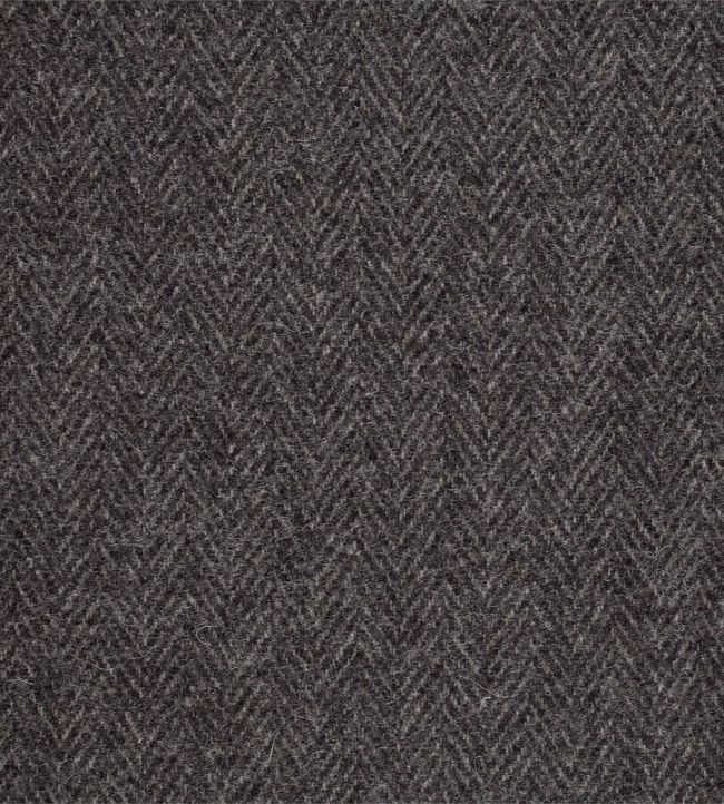 Portland Fabric by Sanderson Charcoal