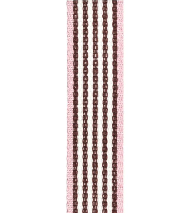 Portrait Stripe Braid Trimming by Ian Mankin Brown/Pink