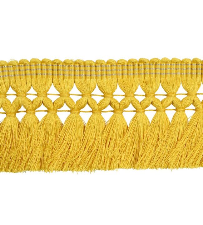 Postillon Fringe 65mm Trimming by Houles 9110