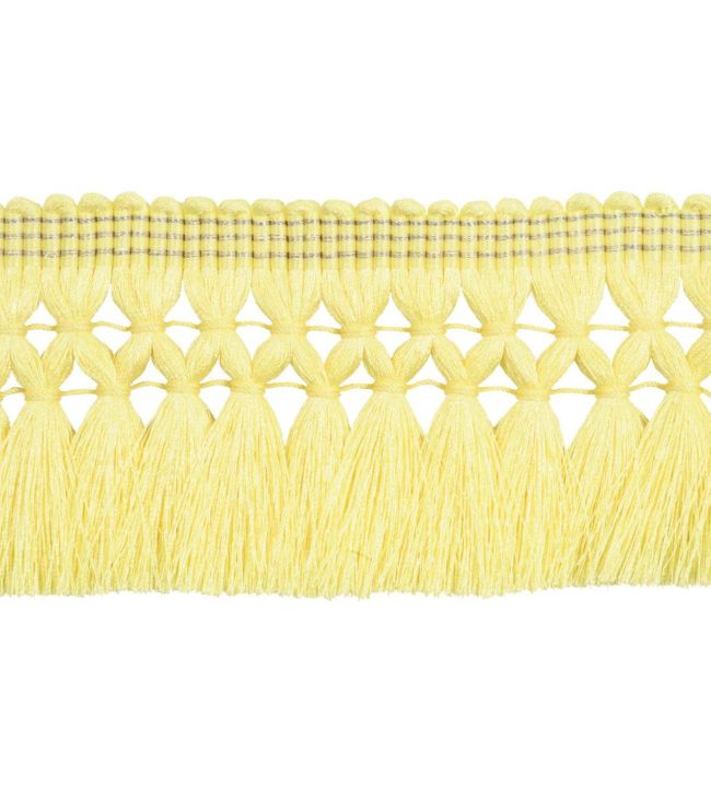 Postillon Fringe 65mm Trimming by Houles 9150