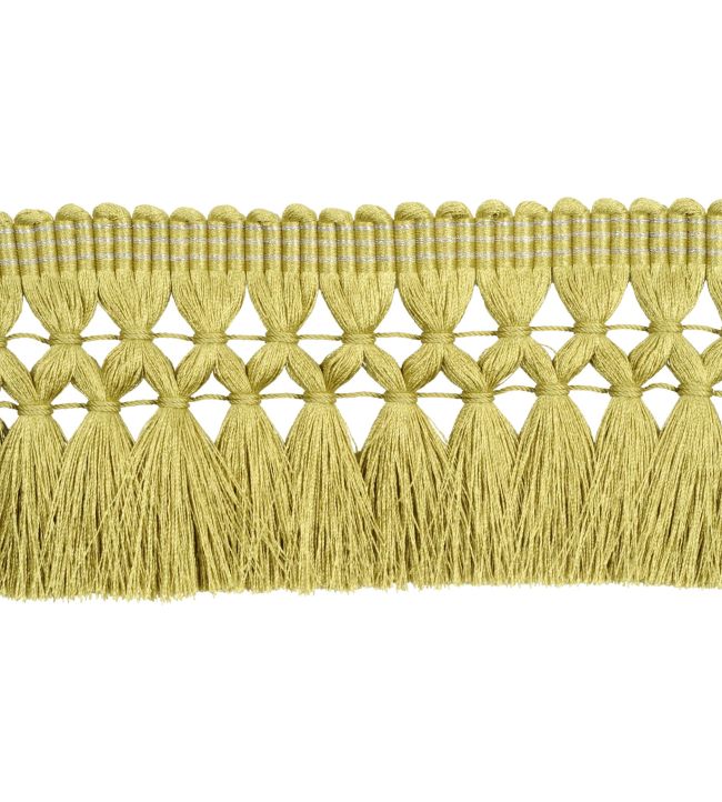 Postillon Fringe 65mm Trimming by Houles 9730