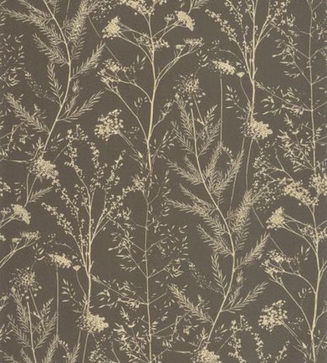 Prairie Wallpaper by Casadeco Noir Fusain / Ocre