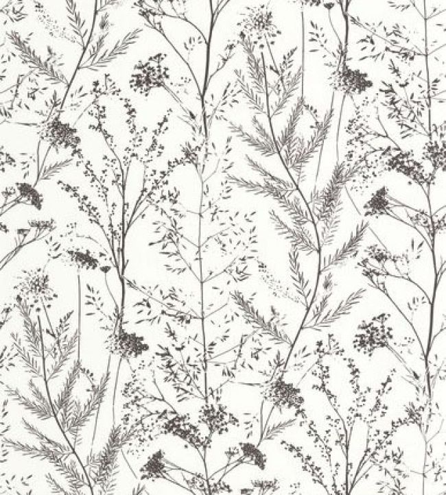 Prairie Wallpaper by Casadeco Reglisse