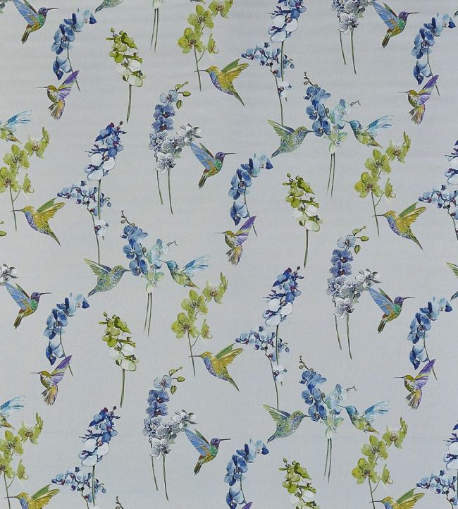 Humming Bird Fabric by Prestigious Textiles Waterfall