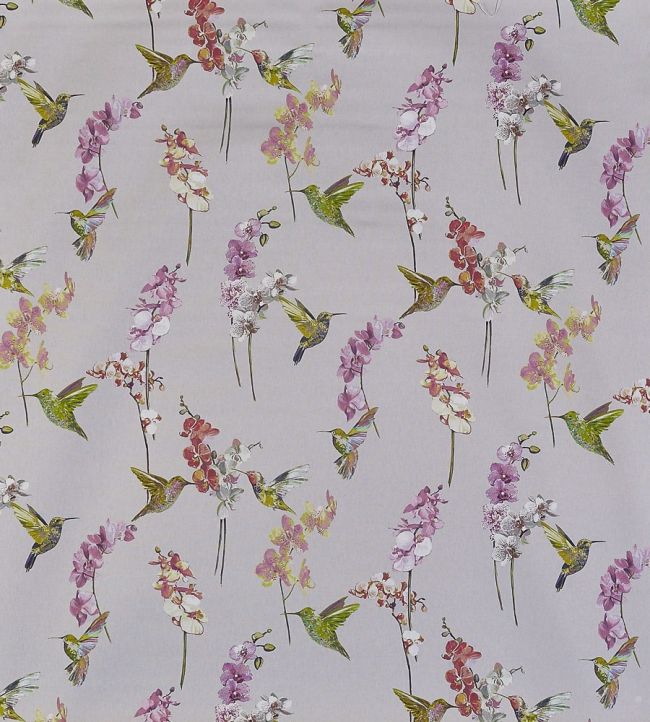 Humming Bird Fabric by Prestigious Textiles Rose Quartz